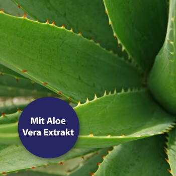 Nahaufnahme von grünen Aloe-Vera-Blättern mit dunkelblauem rundem Label 'Mit Aloe Vera Extrakt'.