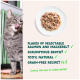 Gray tabby cat licking lips by bowl, plate of salmon and mackerel flakes, text: "Flakes of salmon and mackerel? ✓"