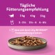 Hundenapf mit Fleisch und Soße auf lila Hintergrund, der Fütterungshinweise für 3 kg, 4 kg und 5 kg Katzen zeigt, plus WHISKAS® Trockenfutter Hinweis.