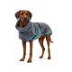Ein brauner Hund trägt einen grauen Fleece-Mantel mit blauen Akzenten und steht aufrecht vor einem weißen Hintergrund.
