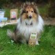 Ein flauschiger Collie sitzt auf grünem Gras und hält ein Paket mit Hundeleckerlis, das mit "Knauber Schmaus" beschriftet ist, vor sich.