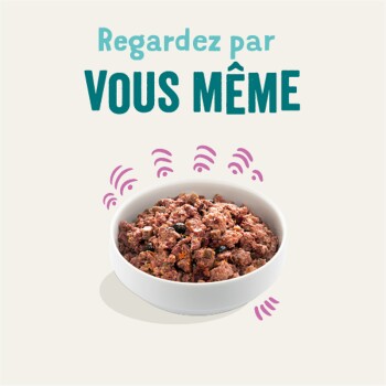 Bol de nourriture pour animaux rempli d'un mélange de viande et de légumes, avec le texte "Regardez par VOUS MÊME" au-dessus.
