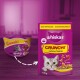 Whiskas Crunch! Katzenfutter-Topping in einer lila Tüte und runden Behälter, beschriftet mit "Leckeres Topping" mit Huhn, Truthahn und Ente.