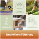 Collage: Meisen am Futterspender, Vogelhaus, mit Handschuhen beim Reinigen; deutscher Text 'Empfohlene Fütterung'.