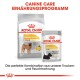 Royal Canin Dermacomfort Hundefutterverpackung, die einen mittleren Beutel und einen kleinen Beutel zeigt, der reduzierte Allergene und ernährungsphysiologische Vorteile betont.