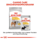 Royal Canin Dermacomfort Hundefutterverpackung, die einen mittleren Beutel und einen kleinen Beutel zeigt, der reduzierte Allergene und ernährungsphysiologische Vorteile betont.