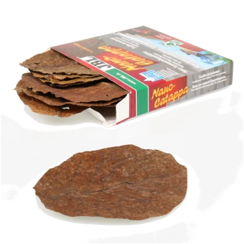 Eine Box mit Nano Catappa-Blättern, mit mehreren braunen, strukturierten Blättern, die teilweise sichtbar sind, ein Blatt im Vordergrund.