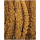Gros plan sur des épis de millet tressés, mettant en valeur leur couleur brun doré et leurs grappes de graines texturées, idéales pour les oiseaux de compagnie.