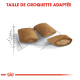 Trois morceaux de croquettes sont montrés sur un fond esquissé, avec le texte "TAILLE DE CROQUETTE ADAPTÉE" affiché en évidence au-dessus.