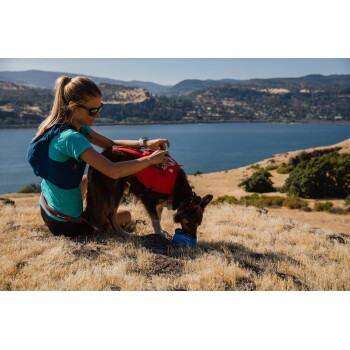 Eine Frau in einem blauen Shirt und einer roten Hüfttasche kniet neben einem Hund, der ein rotes Geschirr trägt, beide auf einem grasbewachsenen Hügel mit Blick auf einen See und Berge.