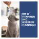 Graue Katze leckt GimCat Duo Paste aus einer handgehaltenen Tube neben blauem Feld mit Aufschrift 'MIT 12 VITAMINEN UND LECKEREM THUNFISCH.'