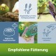 Bild zeigt verschiedene Wellensittiche und einen Nymphensittich beim Fressen. Text enthält "Empfohlene Fütterung" und Tipps zur Fütterung und Pflege.
