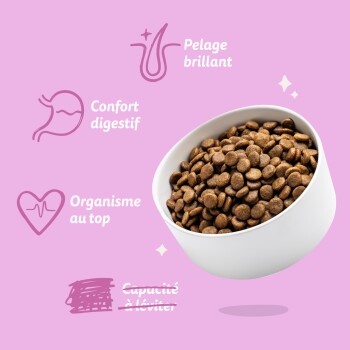 Bol blanc de croquettes sèches brunes sur fond rose avec icônes et textes français : 'Pelage brillant', 'Confort digestif', 'Organisme au top'.