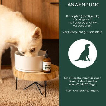 Ein weißer Hund frisst aus einer Schüssel auf einem Holzständer, neben einer Flasche mit Nahrungsergänzungsmitteln mit Dosierungs- und Lagerungshinweisen.