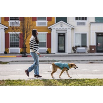 Eine Person in einem gestreiften Pullover führt einen Hund in einem blauen Mantel entlang eines Bürgersteigs in einem Wohngebiet mit bunten Häusern.