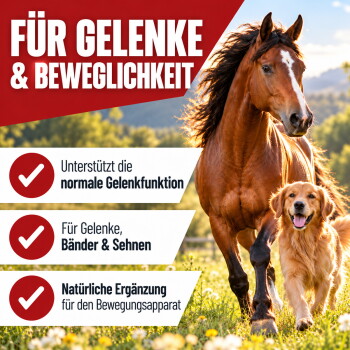 Ein kleiner Hügel aus hellbraunem Pulver auf einem weißen Hintergrund, wahrscheinlich ein Haustier-Nahrungsergänzungsmittel oder Lebensmittelzutat.