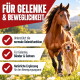 Ein kleiner Hügel aus hellbraunem Pulver auf einem weißen Hintergrund, wahrscheinlich ein Haustier-Nahrungsergänzungsmittel oder Lebensmittelzutat.