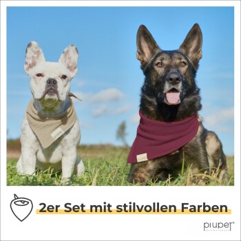 Zwei Hunde in Bandanas sitzen auf einer Wiese: ein beiger Französischer Bulldogge und ein kastanienbrauner Deutscher Schäferhund. Text: "2er Set mit stilvollen Farben."