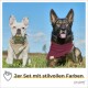 Zwei Hunde in Bandanas sitzen auf einer Wiese: ein beiger Französischer Bulldogge und ein kastanienbrauner Deutscher Schäferhund. Text: "2er Set mit stilvollen Farben."