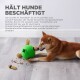 Ein Shiba Inu spielt mit einem grünen Puzzleball auf einem Holzboden, umherliegendes Futter, mit Text, der die Vorteile des Spielzeugs bewirbt.