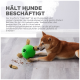 Ein Shiba Inu spielt mit einem grünen Puzzleball auf einem Holzboden, umherliegendes Futter, mit Text, der die Vorteile des Spielzeugs bewirbt.