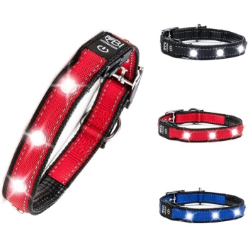 Leuchthalsband Hundehalsband rot L Drei LED-Hundehalsbänder in Rot, Schwarz und Blau, mit hellen Lichtern für Sichtbarkeit, mit einem Einschaltknopf am schwarzen Riemen.