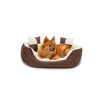 Ein flauschiger orangefarbener Hund, der bequem in einem braunen und cremefarbenen Haustierbett mit zwei kleinen Kissen liegt.
