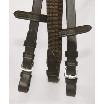 Brautes und schwarzes Haustiergeschirr mit Lederriemen und verstellbaren Schnallen, vor einem weißen Hintergrund präsentiert.