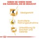 Bild zur Förderung der Hundenahrung mit deutschem Text: "Geben Sie Ihrem Hund die Nahrung, die er braucht." Icons für Gewicht, Nahrungsaufnahme und Gelenkunterstützung.