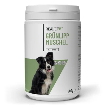 Behälter mit REAVET Grünlipp Muschel-Extrakt für Hunde, mit einem Border Collie auf dem Etikett, 500g Größe.