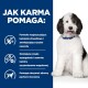 Puchaty czarno-biały pies siedzi uśmiechając się, obok tekstu szczegółowo opisującego, jak karma dla zwierząt pomaga rozpuszczać kamienie struwitowe i zmniejszać ryzyko nawrotu.
