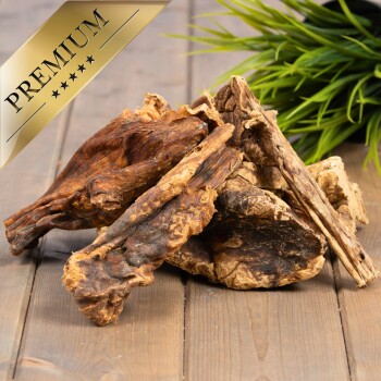 Hochwertige Haustierleckerlis auf einer Holzoberfläche angeordnet, mit einer dekorativen grünen Pflanze im Hintergrund.