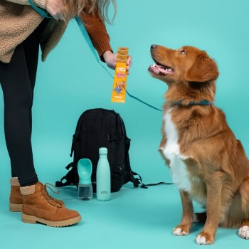 Une femme en veste confortable tient une friandise pour un golden retriever heureux, avec un sac à dos noir et une bouteille d'eau en arrière-plan.