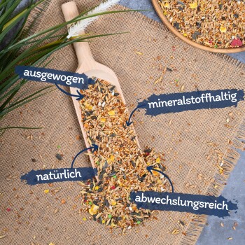 Eine Holzschaufel hält bunte Samen und Körner auf Jute, beschriftet mit deutschen Wörtern für ausgewogen, mineralreich, natürlich und vielfältig.