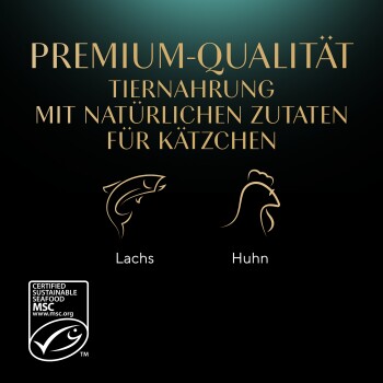 Hochwertiges Tierfutter für Kätzchen mit natürlichen Zutaten, mit Illustrationen von Lachs und Hähnchen.