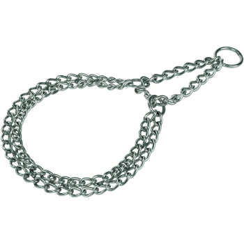 Collier d'entraînement pour chien en métal avec un design en chaîne, comportant une boucle pour l'attache.
