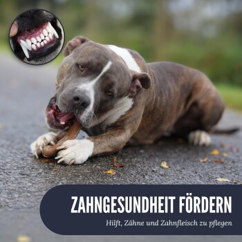 Ein brauner und weißer Hund kaut auf einem Knochen, mit einer Nahaufnahme seiner sauberen Zähne. Text: "Fördert die Zahngesundheit - Hilft bei der Pflege von Zähnen und Zahnfleisch."