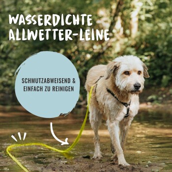 Wasserdichte Allwetter-Leine in leuchtendem Gelb, mit dem Text 'Schmutzabweisend & einfach zu reinigen', während ein Hund im Wasser steht.
