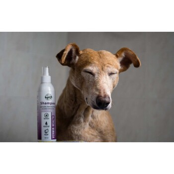 Ein entspannter brauner Hund mit geschlossenen Augen sitzt neben einer Flasche mit antiparasitischem Shampoo, das mit "Vermin Health" beschriftet ist.