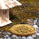 Ein hölzernes Vogelhaus neben einem Teller mit goldenen Samen auf einer felsigen Oberfläche, mit einem kleinen braunen Vogel, der in der Nähe steht.
