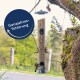 Ein Vogelfutterspender, gefüllt mit Samen, hängt von einem Baum, mit zwei kleinen Vögeln, die darauf sitzen. Der Textüberlagerung lautet "Ganzjahresfütterung."