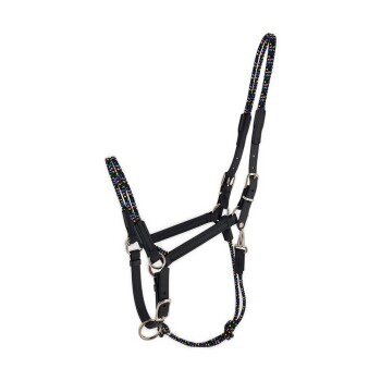 Trainingshalfter Taomero VB/ COB (Vollblut)