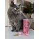Graue Katze neben einem rosa KatKare-Behälter 'Urinary Topping' mit rosa Messlöffel und Pulver auf dem Tisch.