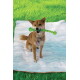 Chien fauve assis sur une couverture blanche dans l'herbe, tenant un long jouet à mâcher vert torsadé dans sa gueule.