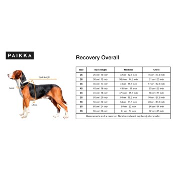 Eine Seitenansicht eines Hundes mit beschrifteten Maßen für einen Erholungsoverall, einschließlich Hals-, Rückenlängen und Brustgrößen.
