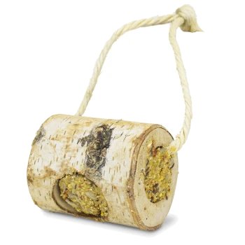 Natural birch wood bird feeder with seed mix and hanging rope against white background.