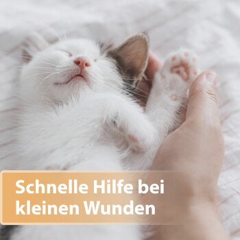 Schlafendes weißes Kätzchen, in einer Hand gehalten; überlagernder Text: 'Schnelle Hilfe bei kleinen Wunden'.