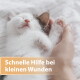 Schlafendes weißes Kätzchen, in einer Hand gehalten; überlagernder Text: 'Schnelle Hilfe bei kleinen Wunden'.