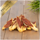 Ein Haufen hochwertiger Hundeleckerlis aus getrocknetem Fleisch, auf einer Holzoberfläche mit grünem Gras-Akzent und einem goldenen "PREMIUM"-Banner präsentiert.