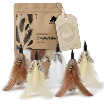 Fünf Katzenangeln aus Straußenfedern (braun/creme/weiß) mit Kraftpapierbeutel beschriftet 'KATZENANGEL Straußenfedern' und Anhänger 'Extrem robust'.